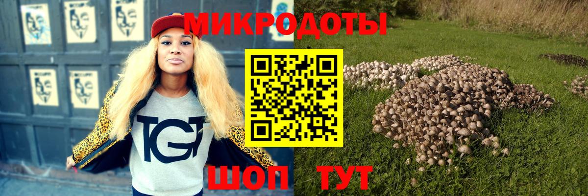 Псилоцибиновые грибы Psilocybe  Галлюциногенные грибы MAGIC MUSHROOMS  Вход с VPN  Верхняя Салда 